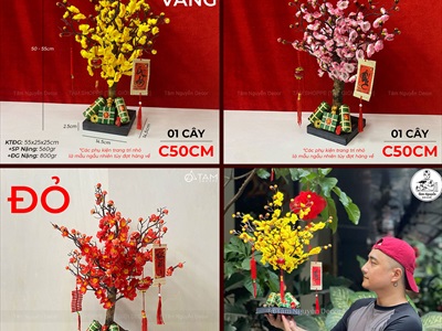 Cây Mai Đào thân gỗ để bàn [Tỉ mỉ - Nhẹ] C50cm CAYCANH-TET-01